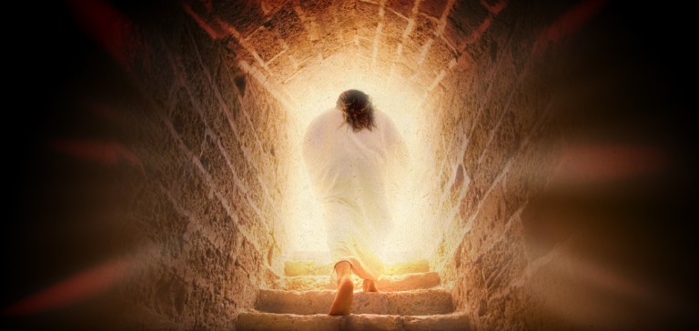 seeing the risen christ_t_nt